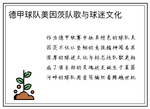 德甲球队美因茨队歌与球迷文化