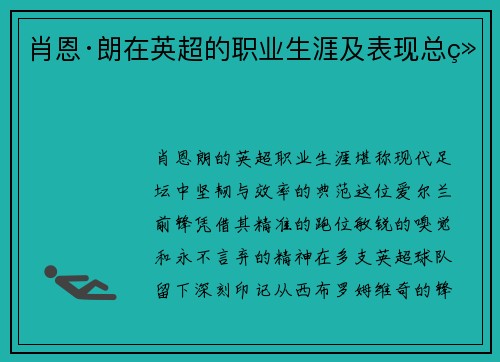 肖恩·朗在英超的职业生涯及表现总结